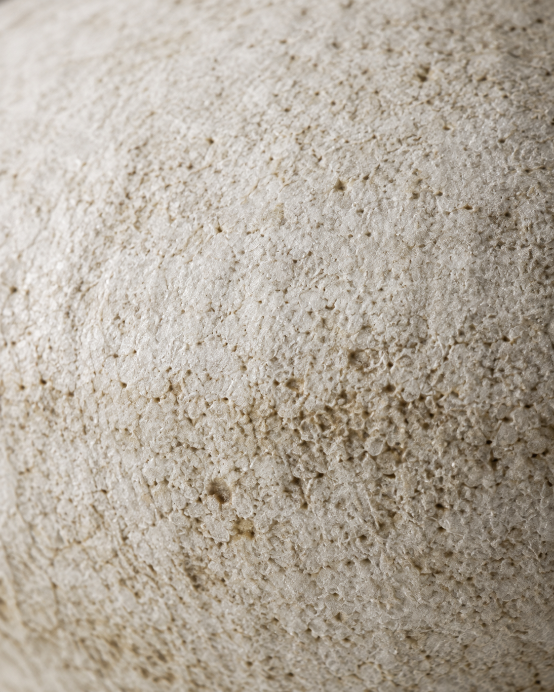 Thea Speckle Vase close-up showing pale surface with brown speckling