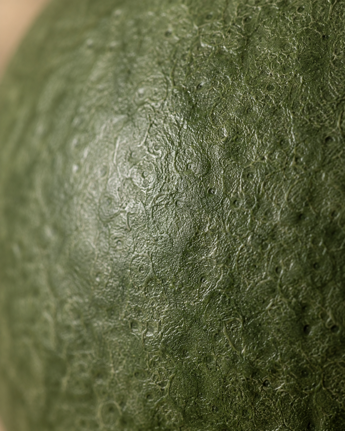 Olia Olive Vase close-up showing olive green tone
