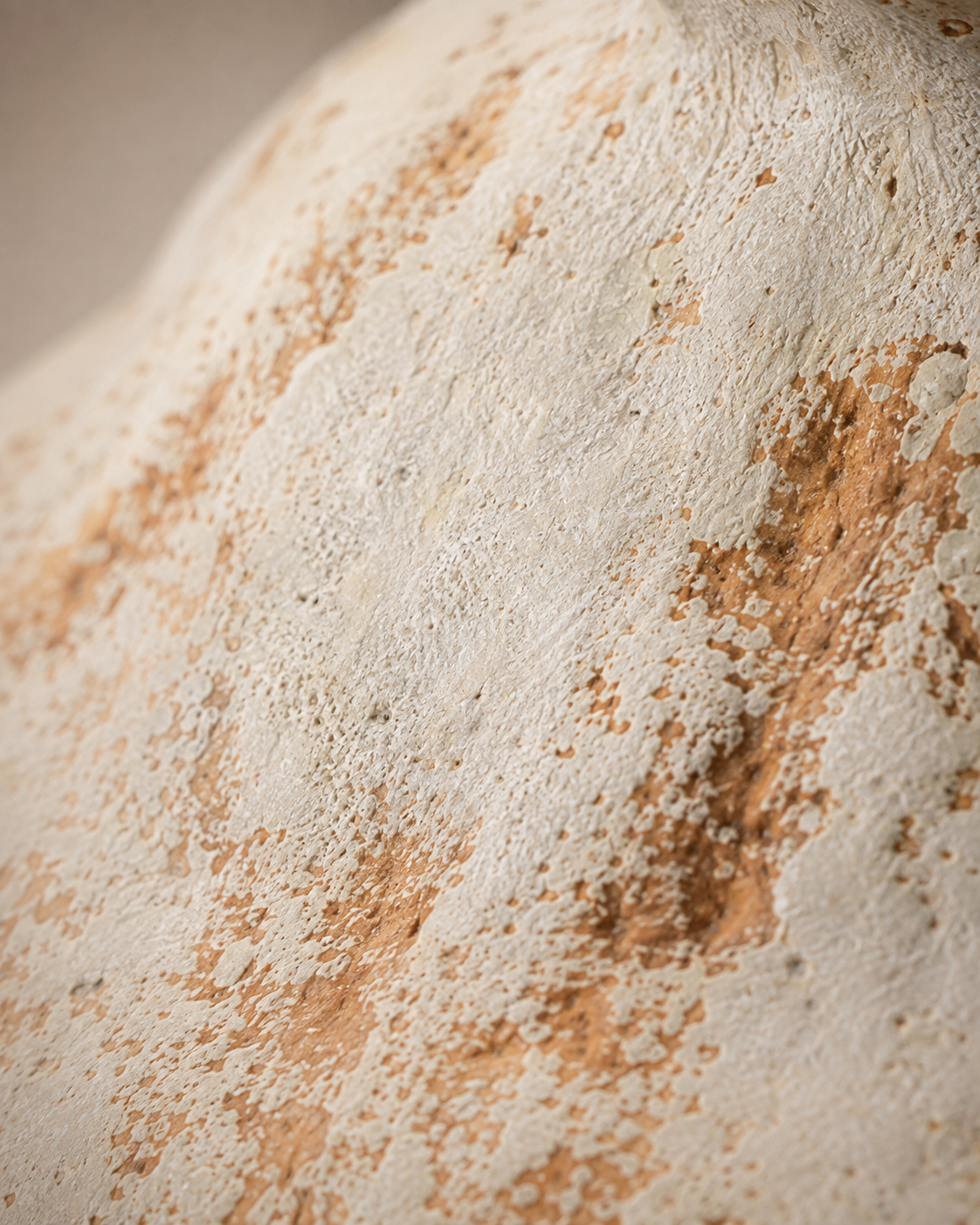 Mina Weathered Vase close-up showing pale body with rust-colored markings